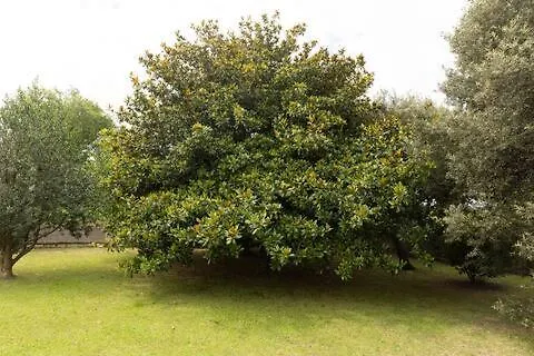 Casa La Dama Blanca A Menos De 4km De Somo Hébergement de vacances