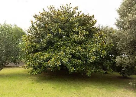 Casa La Dama Blanca A Menos De 4Km De Somo Prázdninový dům